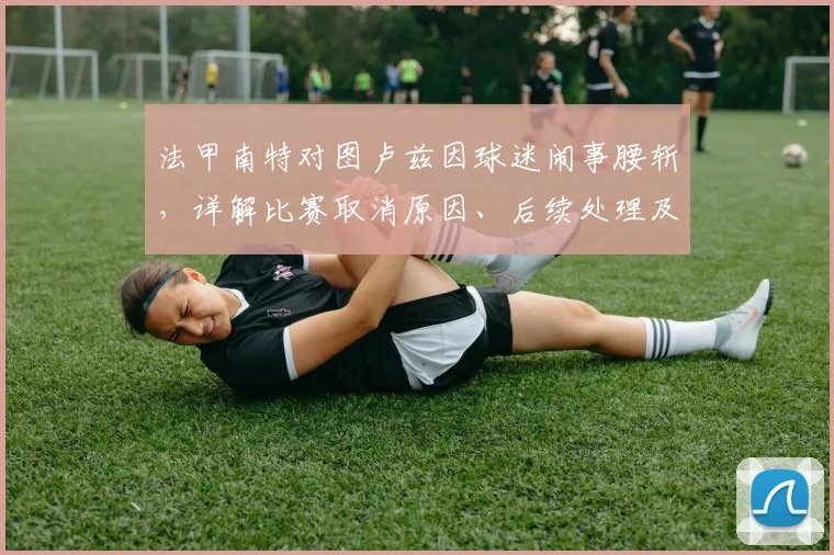 法甲南特对图卢兹因球迷闹事腰斩,详解比赛取消原因、后续处理及处罚结果